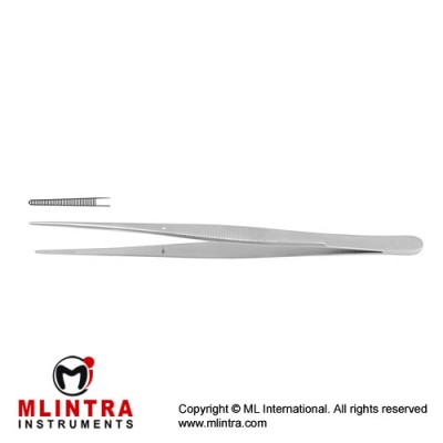 Taylor Dressing Forceps Stainless Steel, 17 cm - 6 3/4"